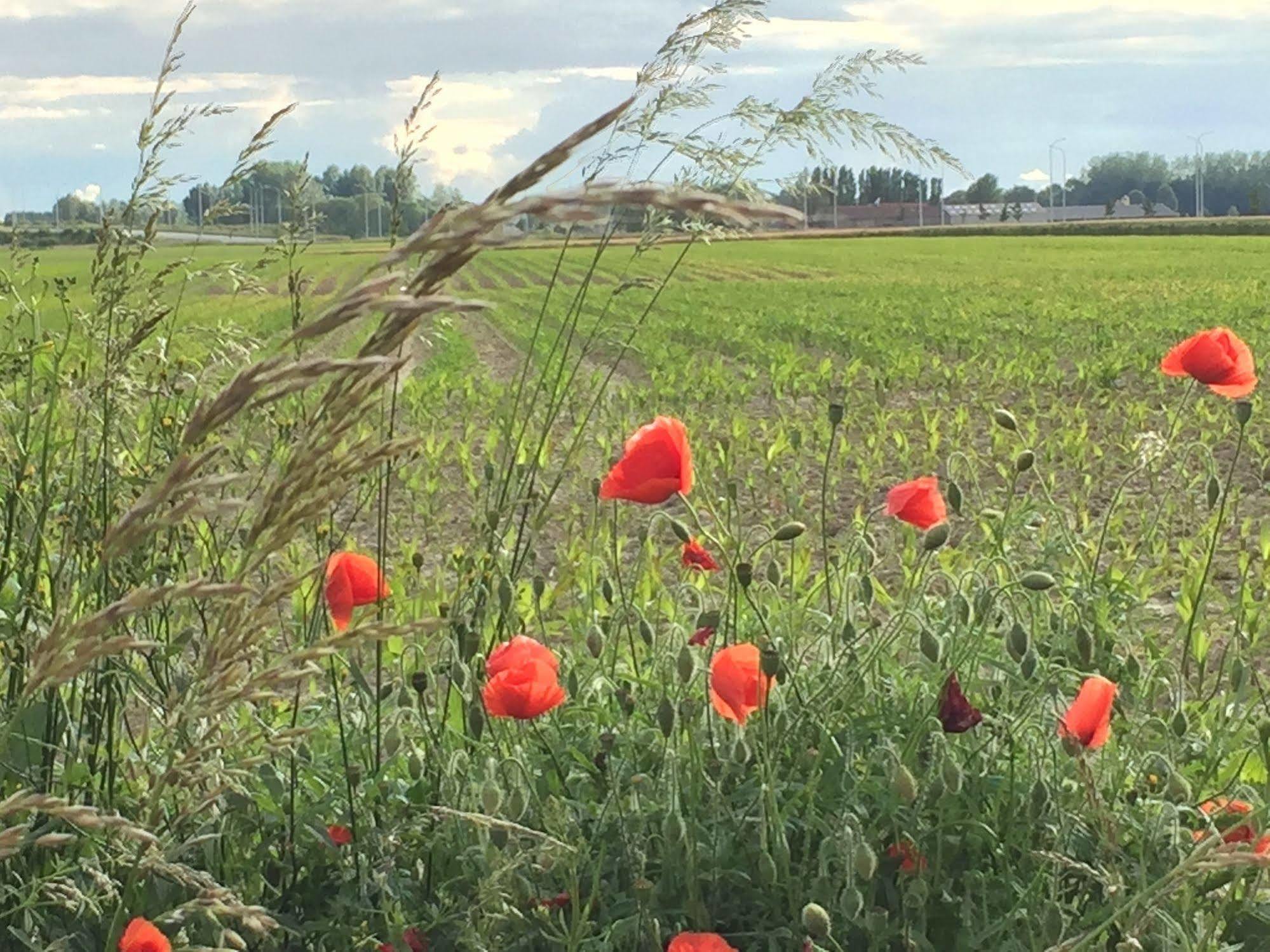 B&B Sabbajon Ypres Dış mekan fotoğraf